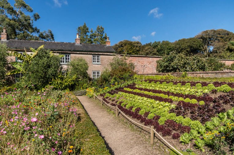 National Trust - Trengwainton Garden, United Kingdom